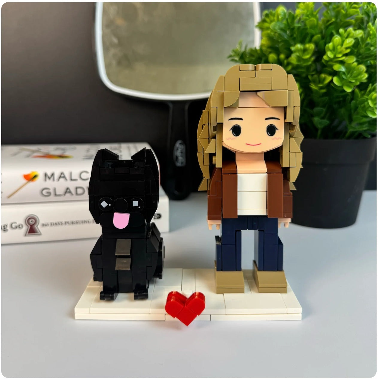 Snap Brick and Pet