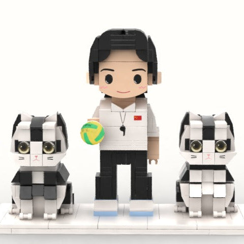 Snap Brick and Pet